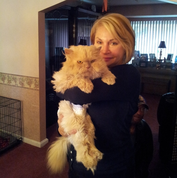 Meet your Posher, Debra - Picture 2 of 8